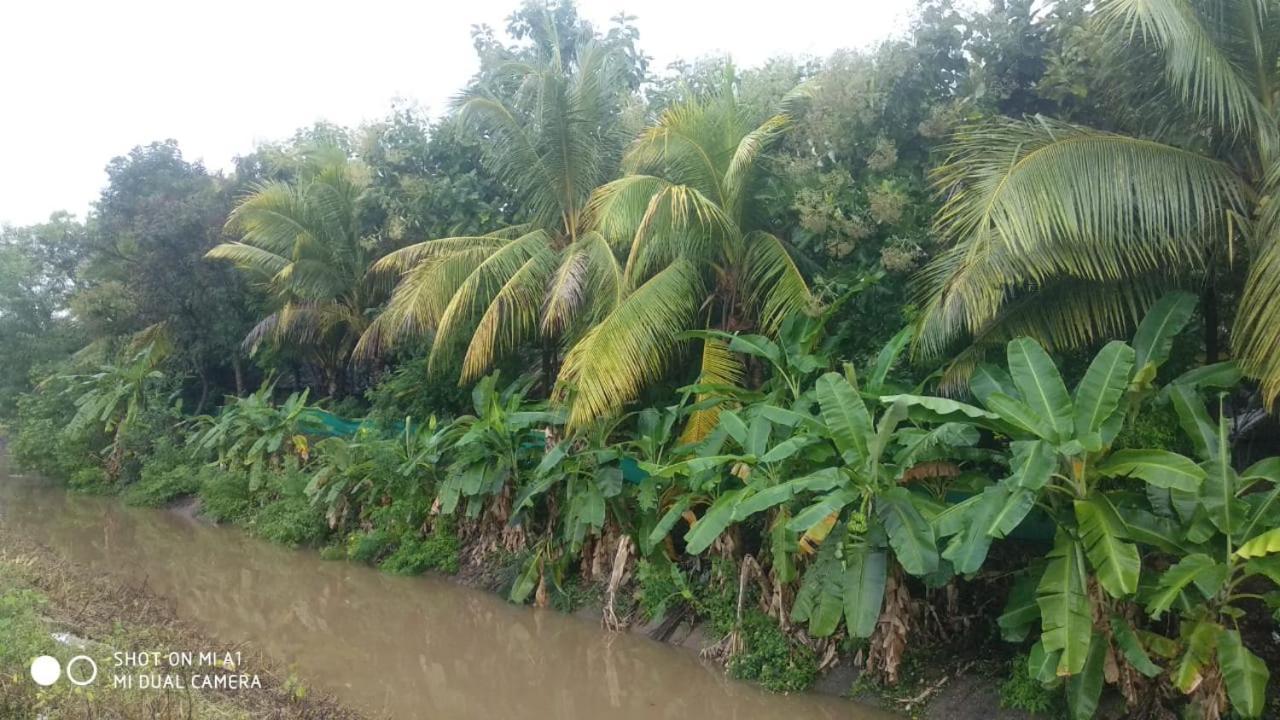 Om Shanti Om Homestay Hampi Luaran gambar